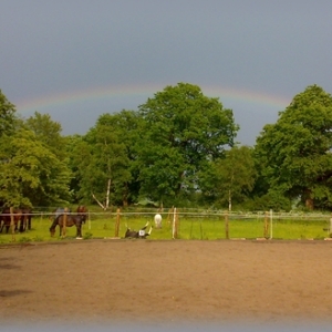 Pferde unterm Regenbogen