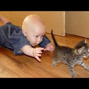 Funny cats and babies playing together - Cute cat & baby compilation - YouTube