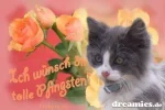 Pfingstkatze.webp