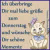 guten morgen katze.webp