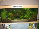 Aquarium.webp