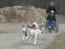 Musher Convention 09 (17) (Custom).webp