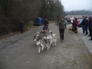 Musher Convention 09 (18) (Custom).webp