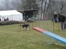 Musher Convention 09 (32) (Custom).webp