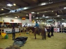 Equitana09 (62) (Custom).webp