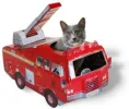 Feuerwehr-Katze.webp