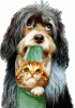 hund_katze_0059.gif