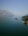 16.06 Ausblick auf die obere Spitze von Gardasee mit Küste von Malcesine von oben.webp