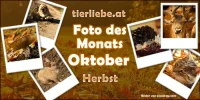 fdm_10oktober.webp