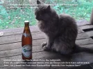 kruemel bier1 Kopie.webp