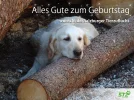 Geburtstagsgruß_STZ.webp