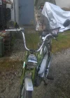 johnny moped1.webp