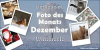 fdm_12dezember.webp