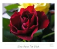 rose.webp