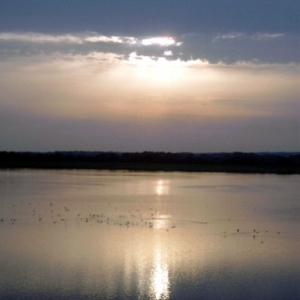 Sonnenuntergang am Alfsee