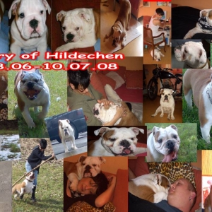 Memory of Hildeschen