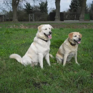 Smiley & Mama Lina