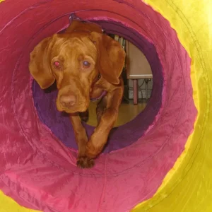 Lena in Tunnel