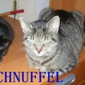 Schnuffel