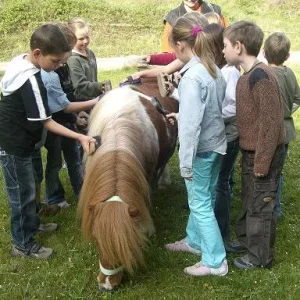 Kopie von Klee in Schule 021.jpg