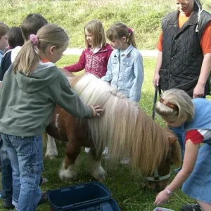 Kopie von Klee in Schule 022.jpg