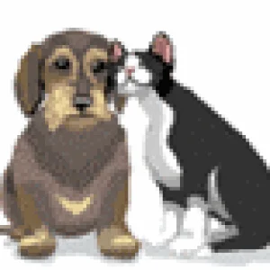 hund_katze_0039.gif