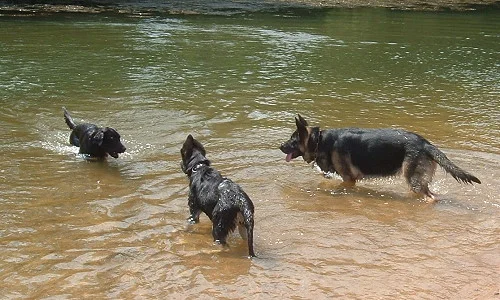 Beim schwimmen