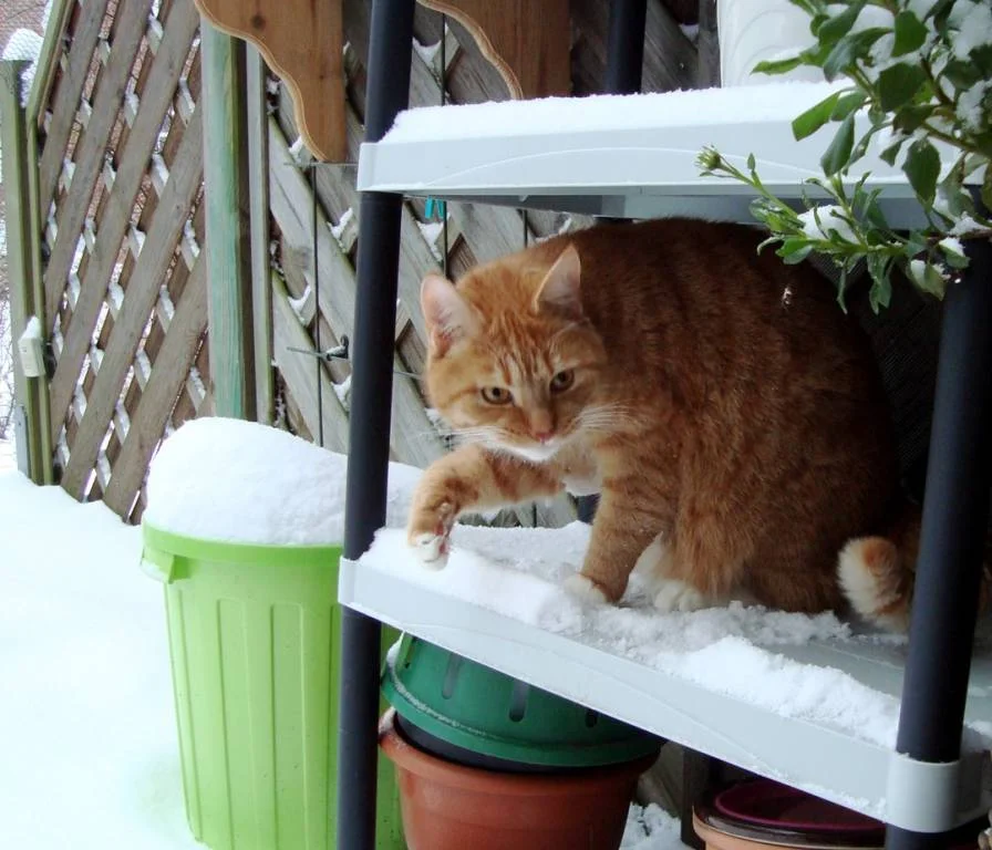 der Winter kommt