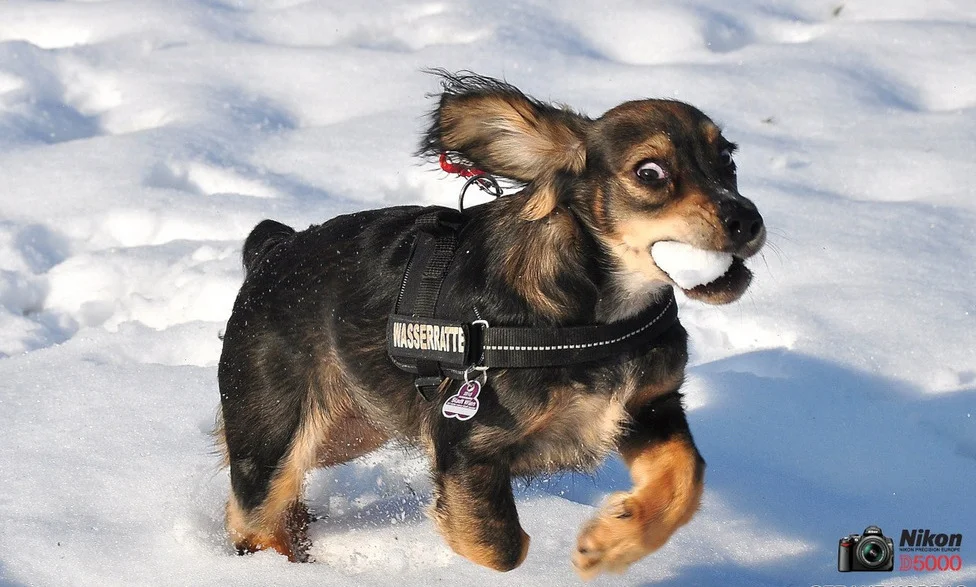 freu mich auf schnee