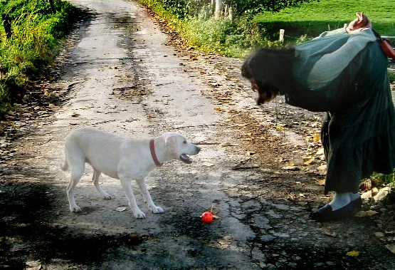 Geli und Bonnie gestern 2, Ende Oktober 06