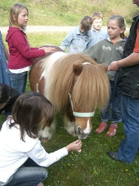 Kopie von Klee in Schule 016.jpg