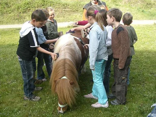 Kopie von Klee in Schule 021.jpg