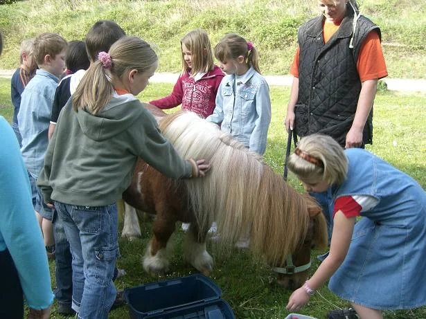 Kopie von Klee in Schule 022.jpg