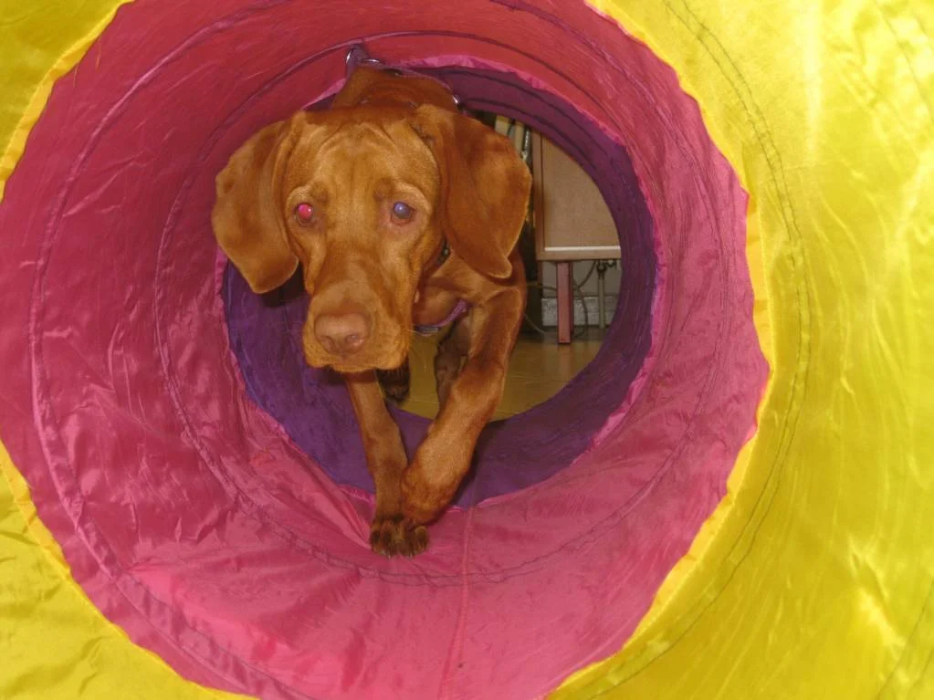 Lena in Tunnel