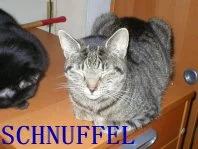 Schnuffel