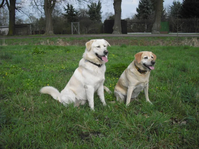 Smiley & Mama Lina