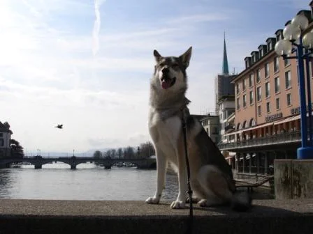 Zürich und ich